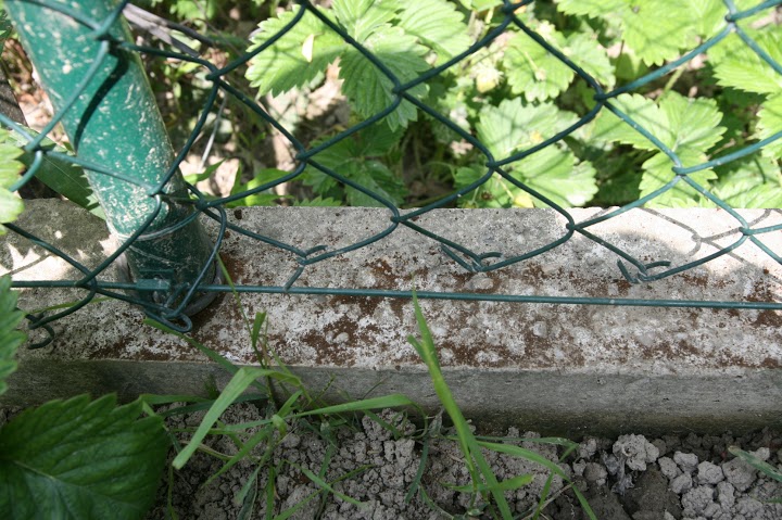 betonovy-mur-7