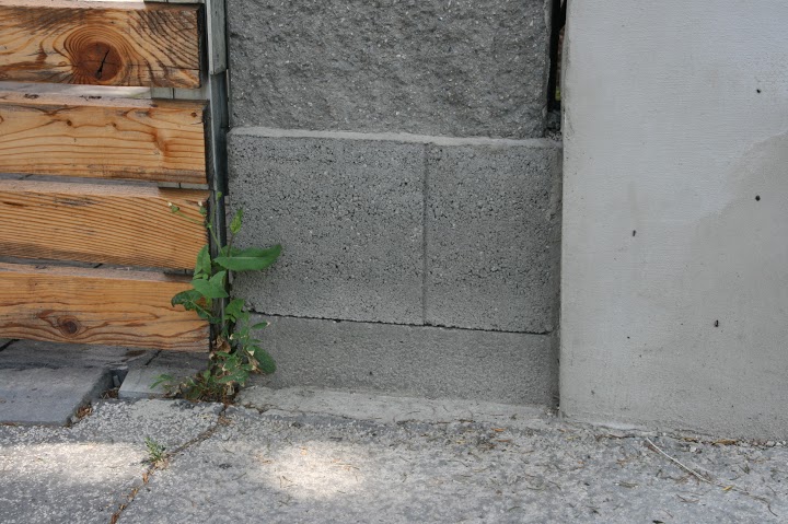 betonovy-mur-8