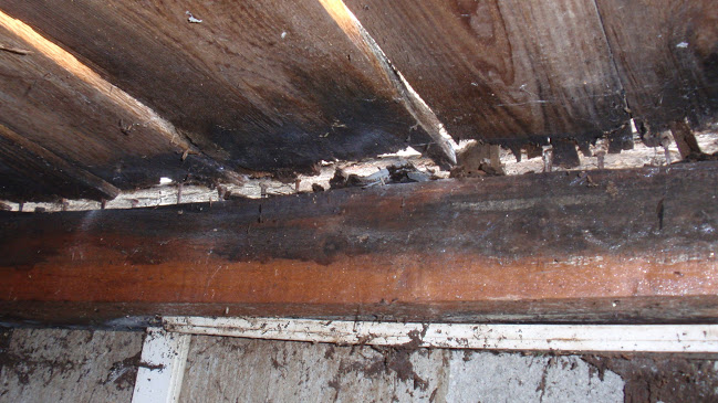 rekonstrukcia-zahradneho-domceka-10